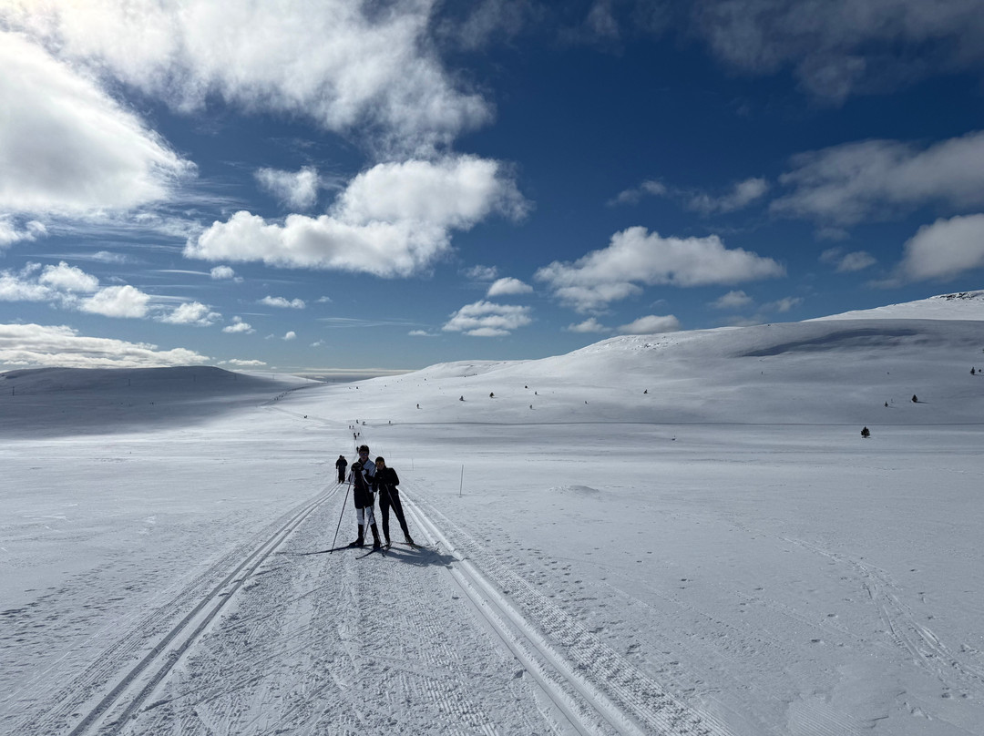 Spidsbergseter Resort Rondane主图