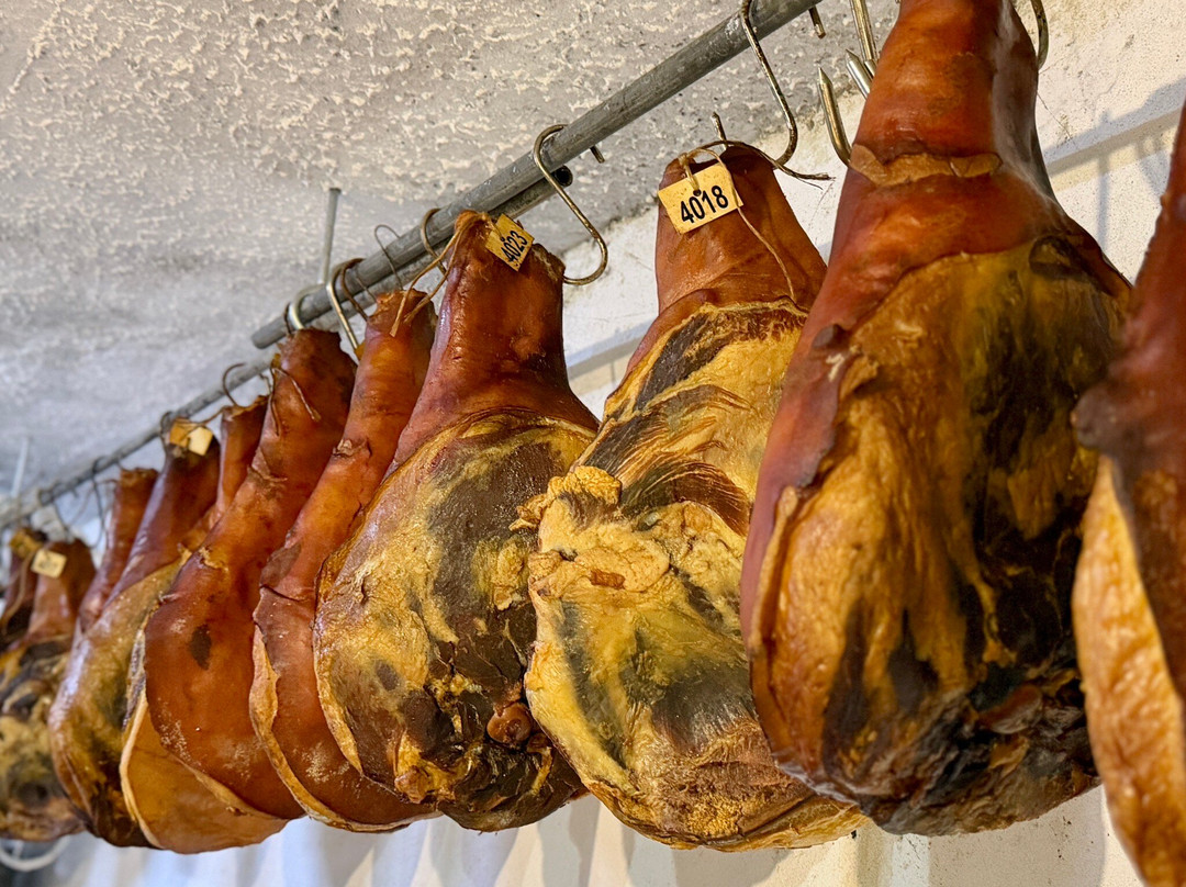 Explorer Family Boat-科尔丘拉岛必去景点