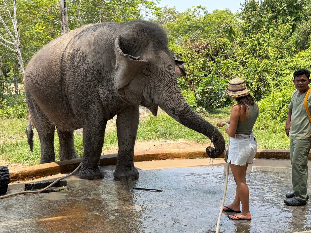 Kulen Elephant Forest-暹粒必去景点