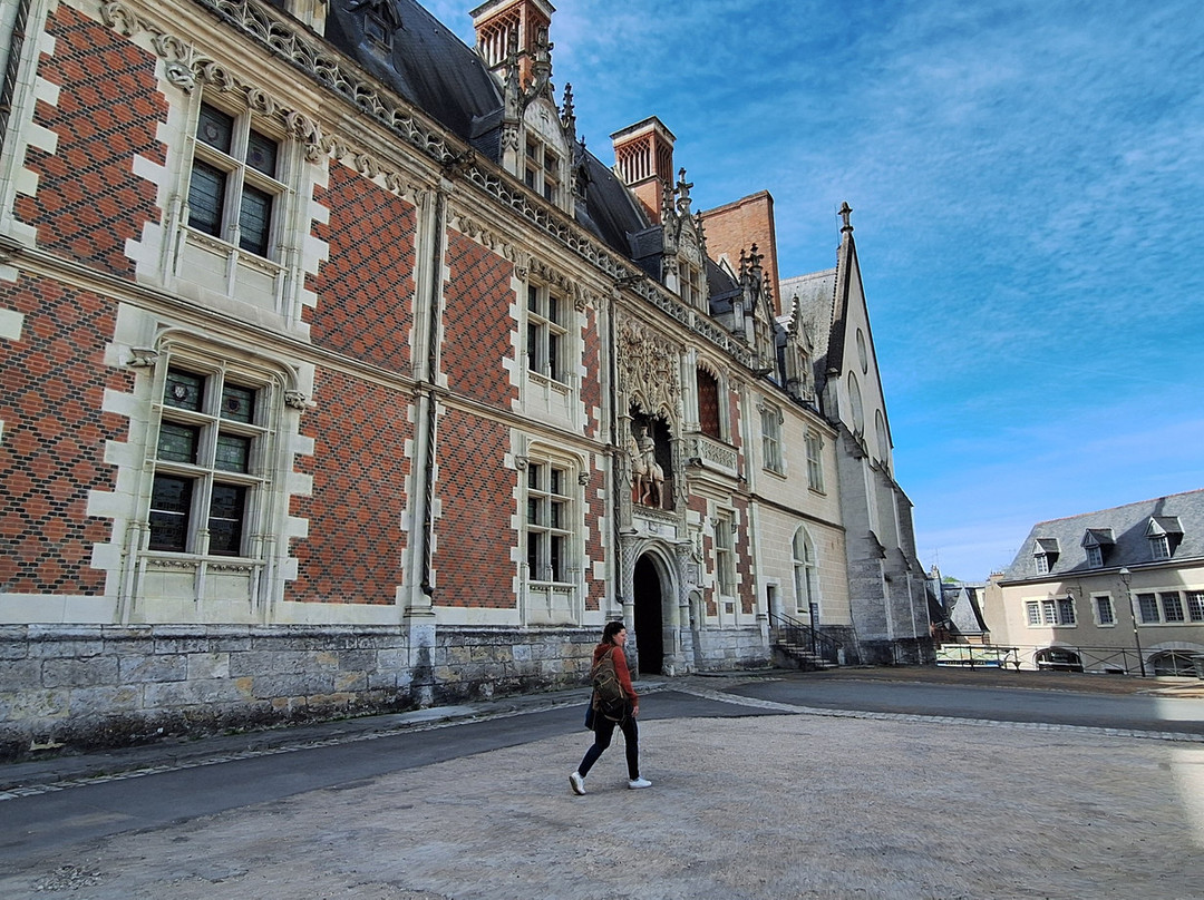 布卢瓦皇家城堡-布洛瓦必去景点