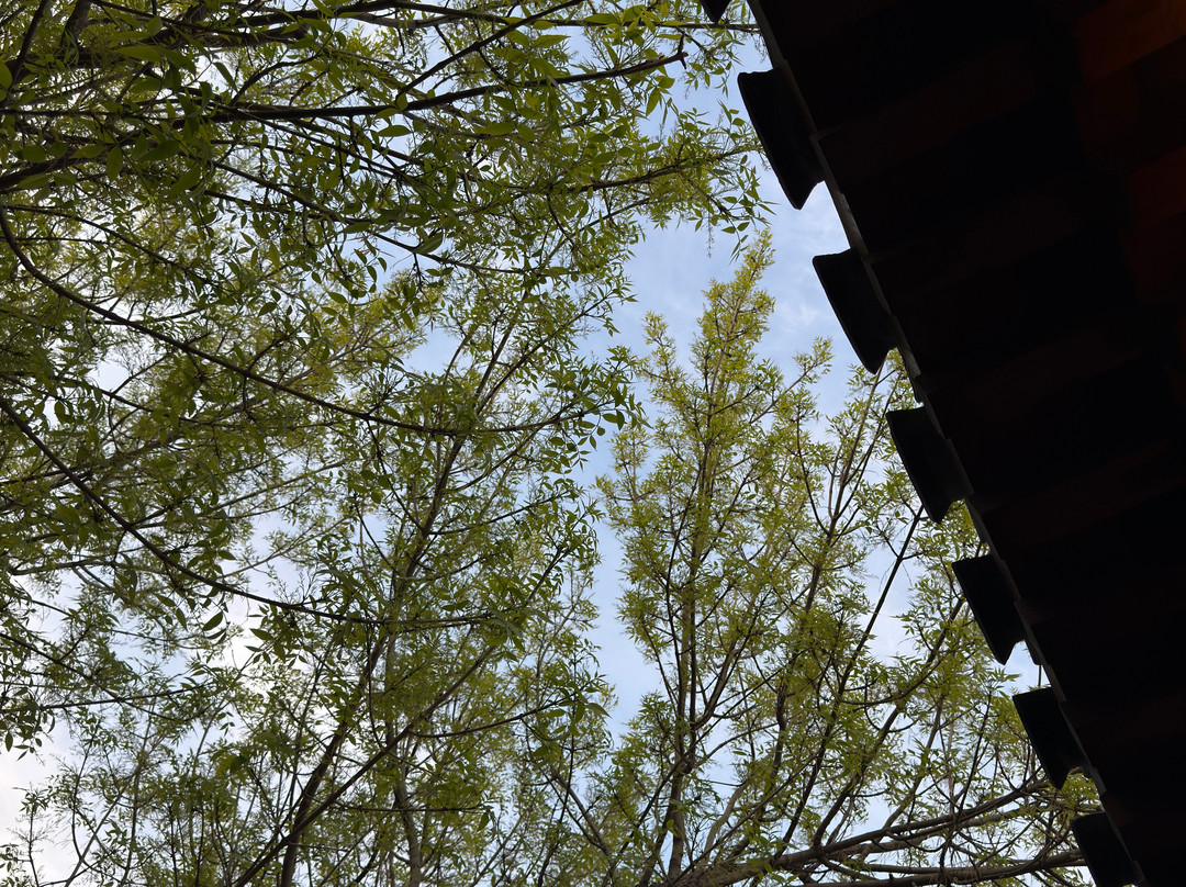 北京前门文华东方酒店主图