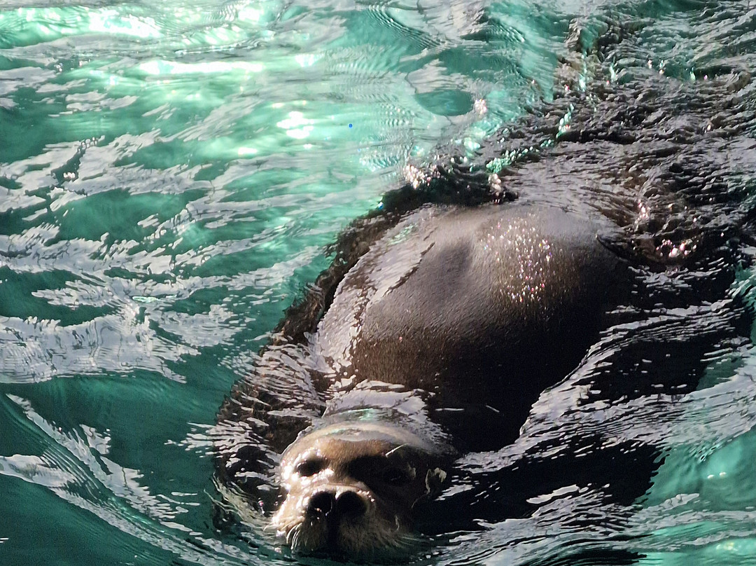 北极星水族馆-特罗姆瑟必去景点