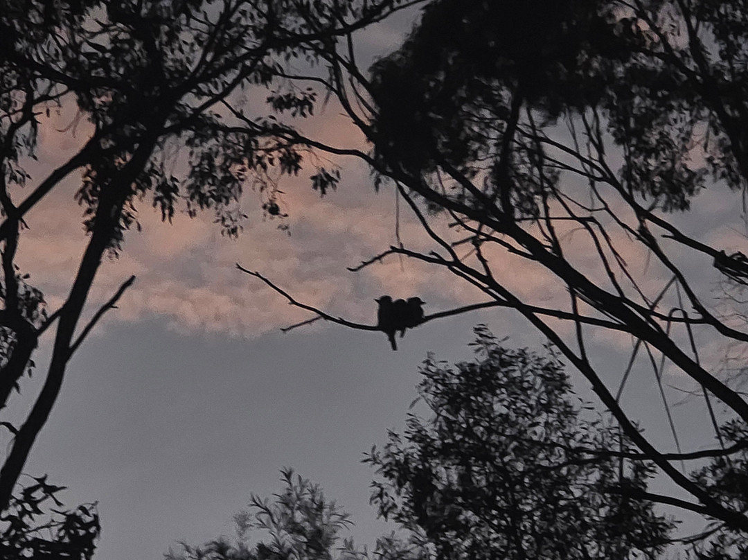 布埃斯德山麦克顿乡村住宿加早餐旅馆主图