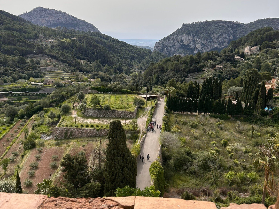 Cartoixa de Valldemossa-法德摩萨必去景点