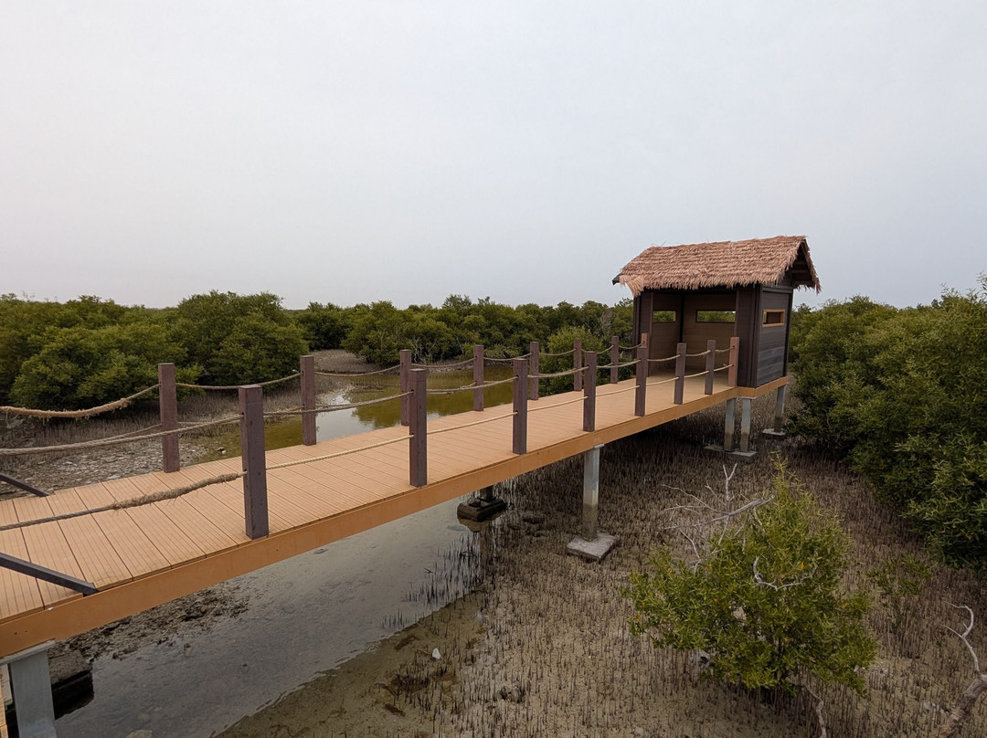 Purple Island - Al Khor Island-Al Khor必去景点