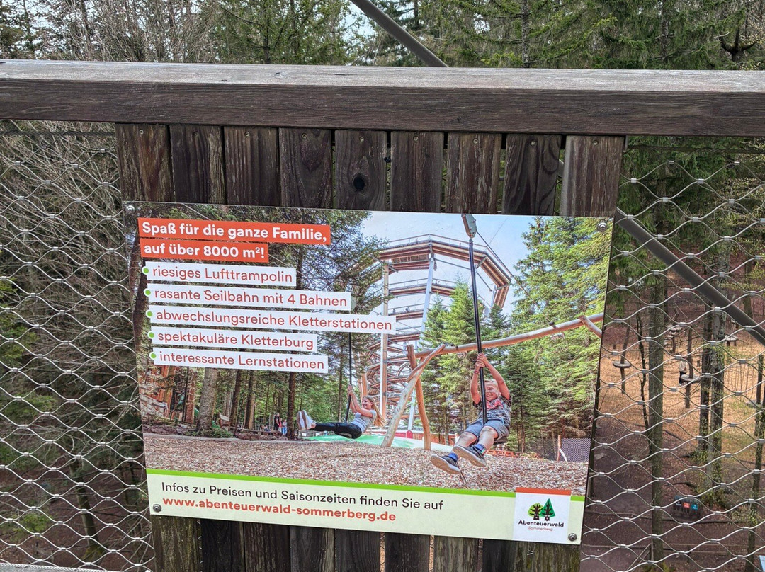 Baumwipfelpfad Schwarzwald-Bad Wildbad必去景点