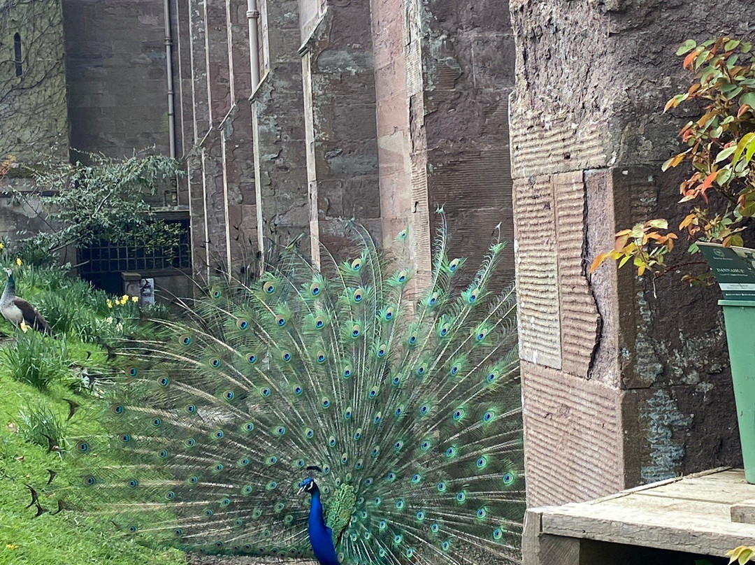 Scone Palace-珀斯必去景点