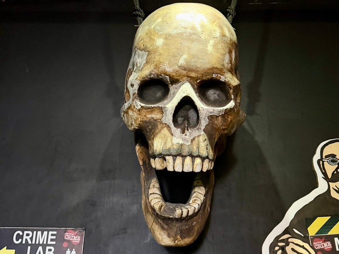 The True CRIME Museum-海斯廷斯必去景点