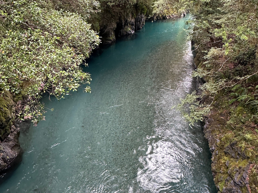 Lake Daniell Track-Springs Junction必去景点