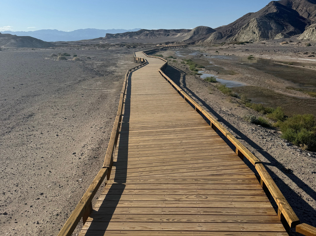Salt Creek Interpretive Trail-死亡谷国家公园必去景点