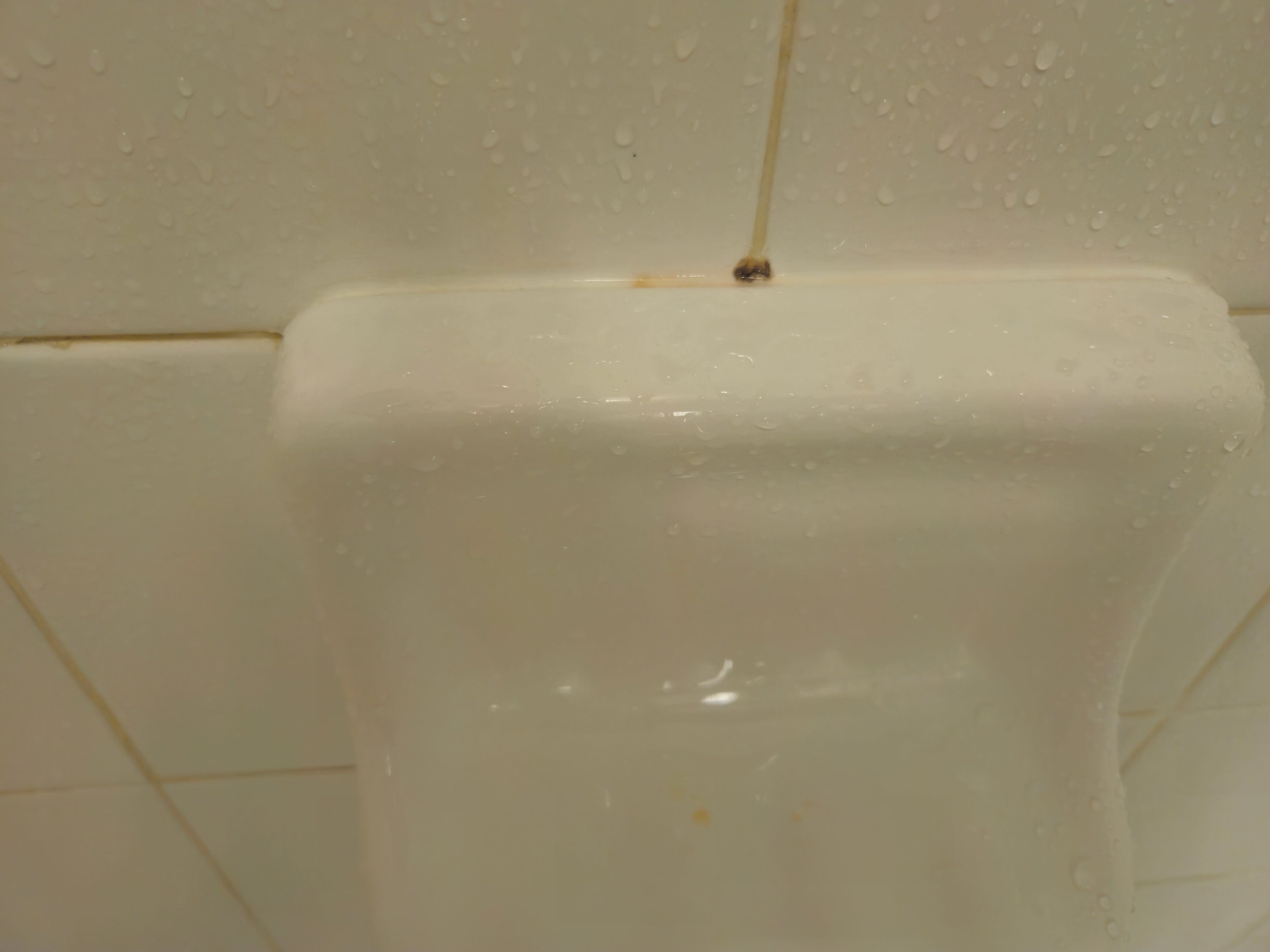 代顿比弗克里克希尔顿花园酒店-旅行者