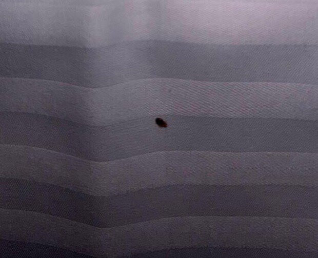 布里斯班北部舒适酒店主图