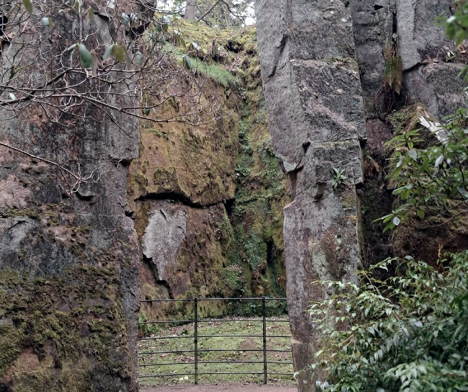 Belsay Hall Castle And Gardens-Belsay必去景点