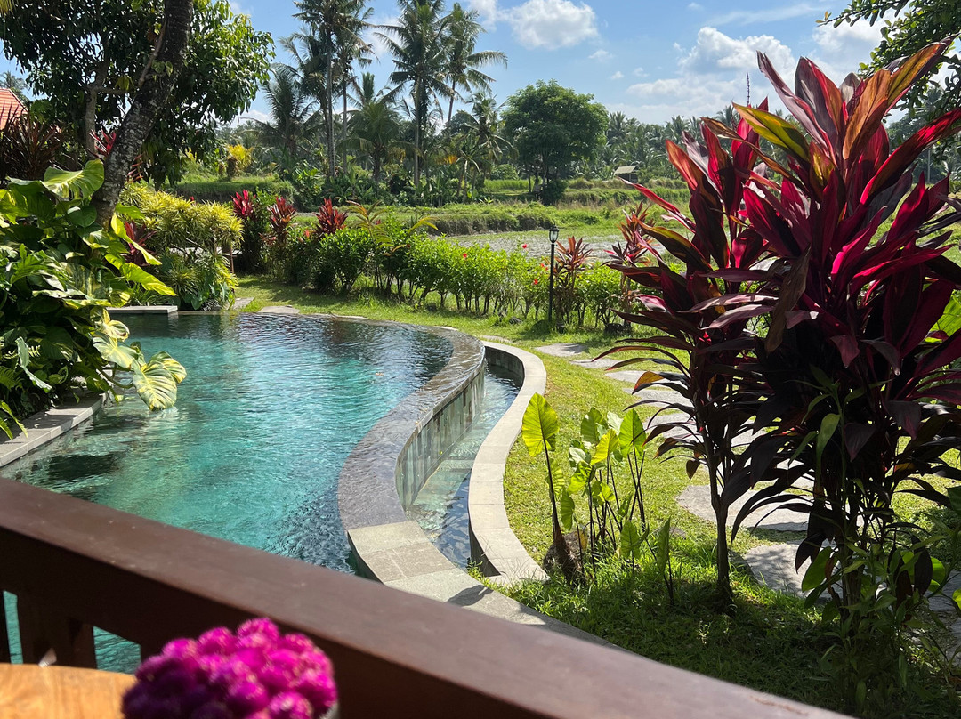 乌布蜂房酒店主图