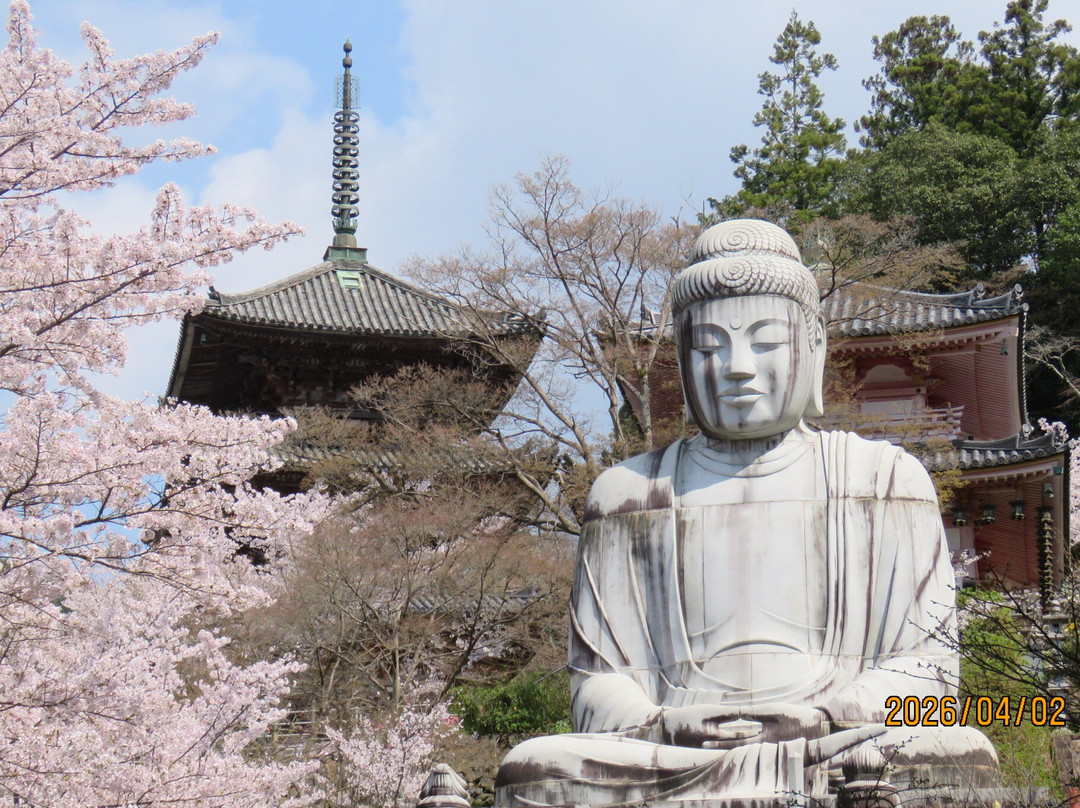 Tsubosaka-dera Temple-高取町必去景点