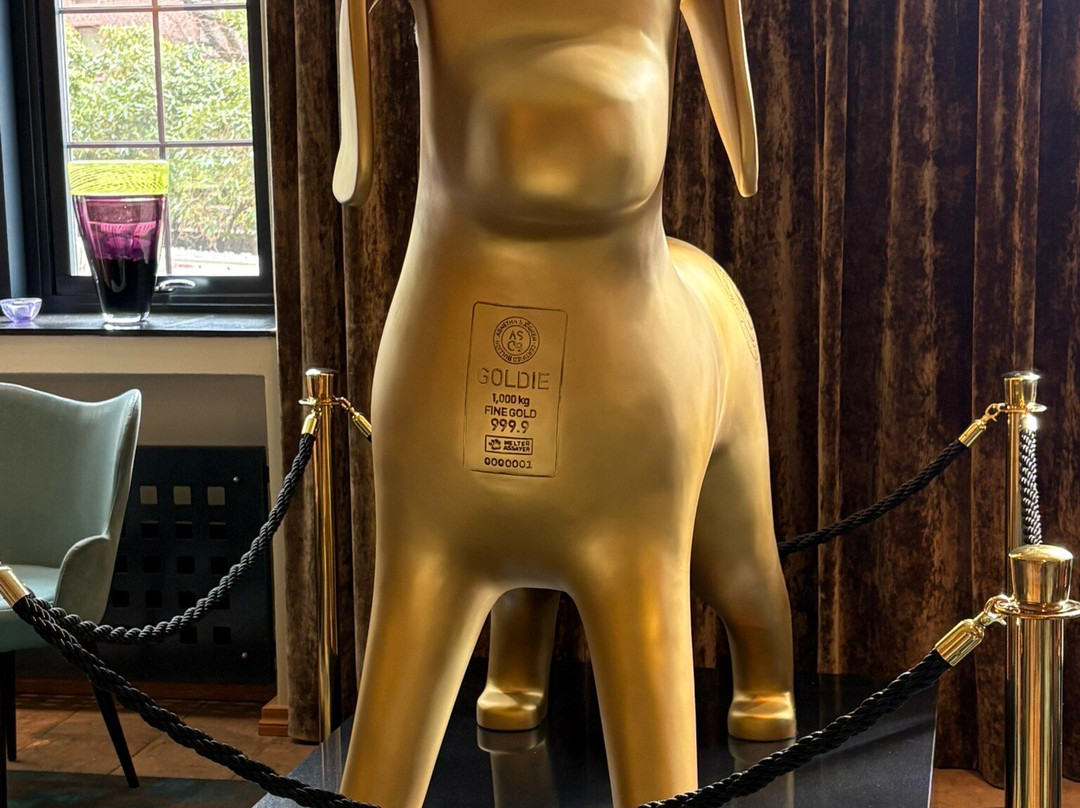 哈夫内孔托雷特家园酒店主图