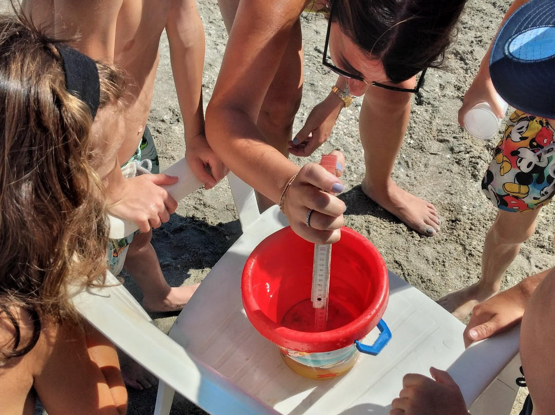 Bagno Marilena 290-Milano Marittima必去景点