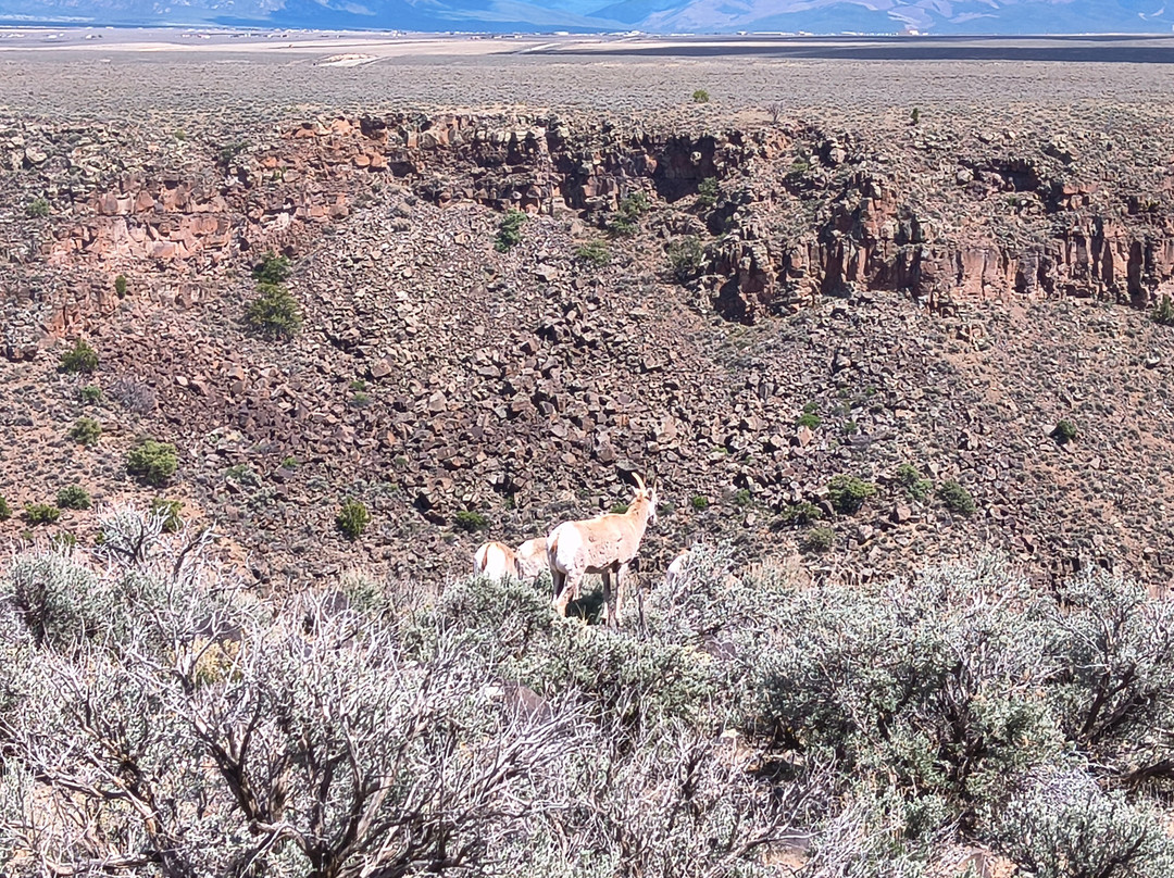 Rio Grande Gorge-陶斯县必去景点