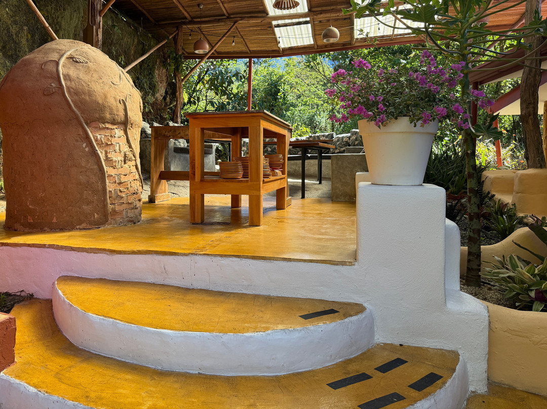 Rainforest Reef Escape-Cabo Matapalo必去景点
