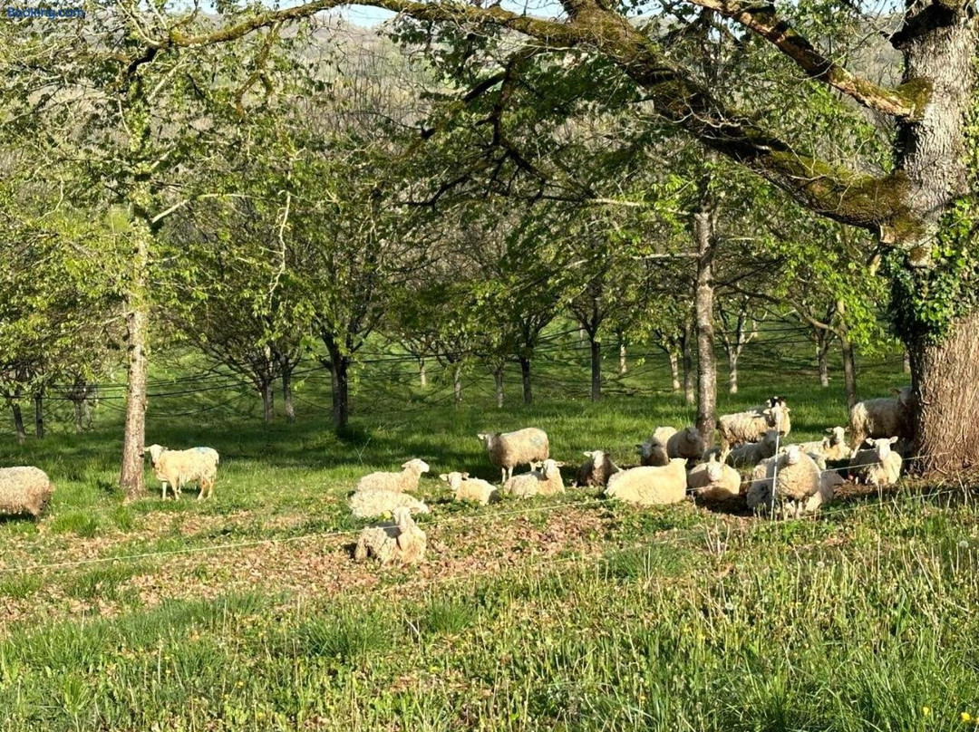 Domaine la Noyeraie Perigord Noir