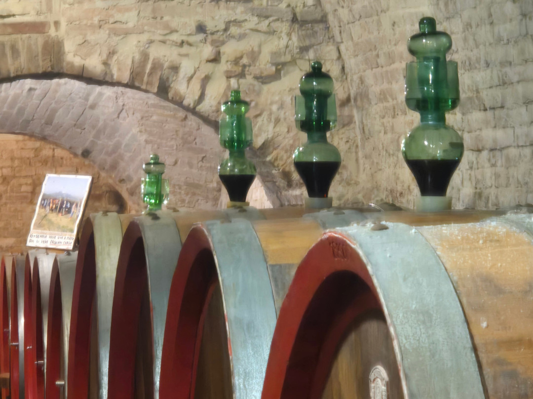 Azienda Agricola Ercolani-蒙特普尔恰诺必去景点