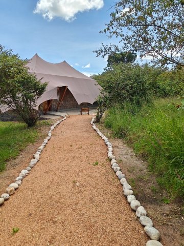 Alama Camp Mara-旅行者