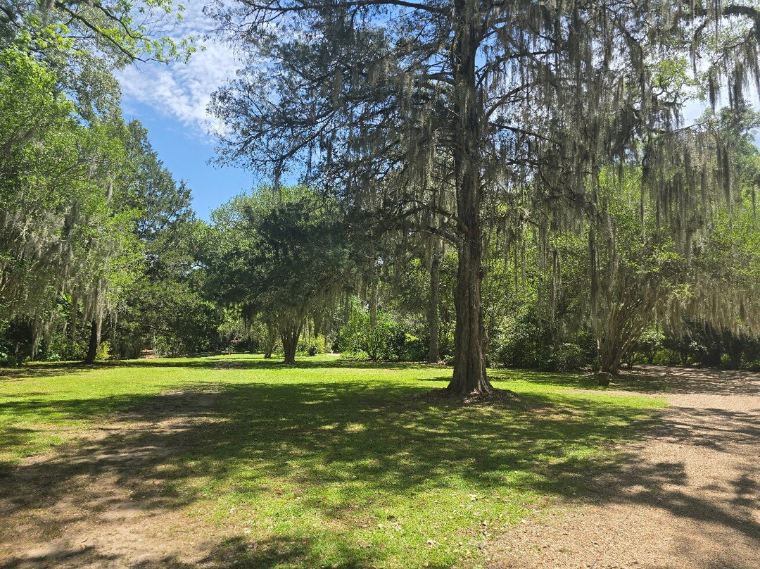 Rosedown Plantation State Historic Site-Saint Francisville必去景点