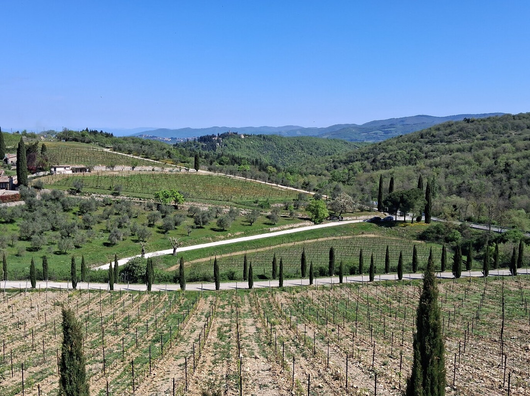 Poggio Amorelli-卡斯特利纳－因基安蒂必去景点