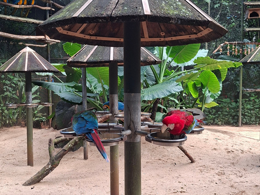 Parque das Aves-伊瓜苏必去景点