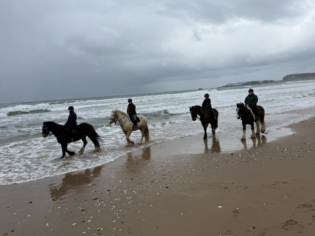 Bespoke Equestrian Ireland-都柏林必去景点