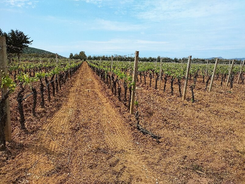 cantina rigàtteri-Santa Maria La Palma必去景点