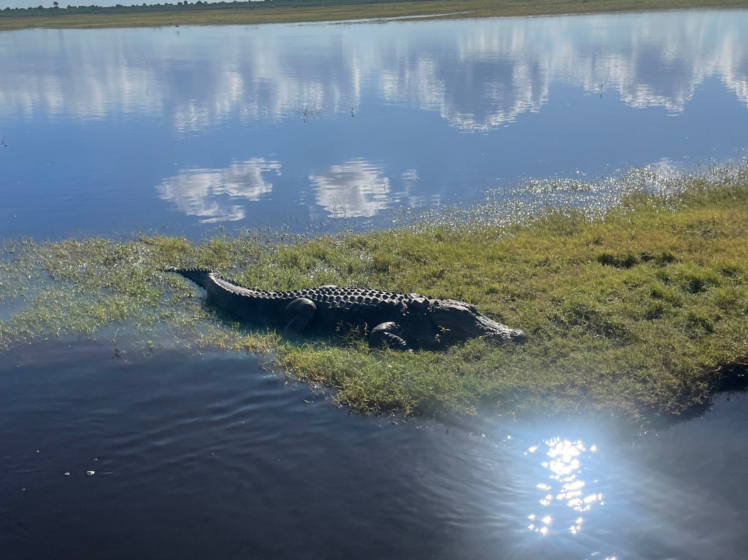 A-Awesome Airboat Rides-Christmas必去景点