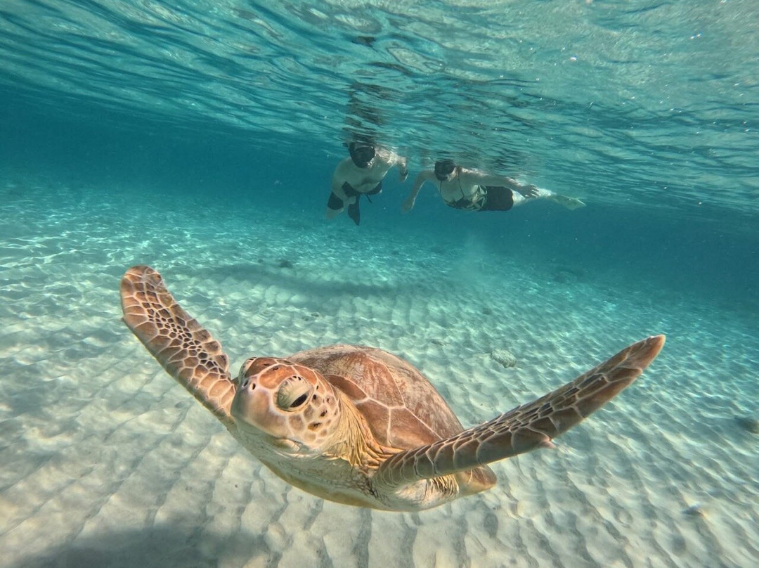 Sup Gili-Tanjung必去景点