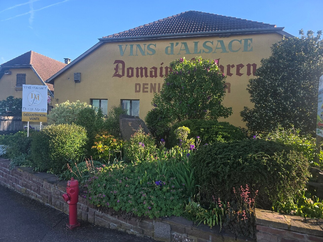 Vins Denis Meyer Et Filles
