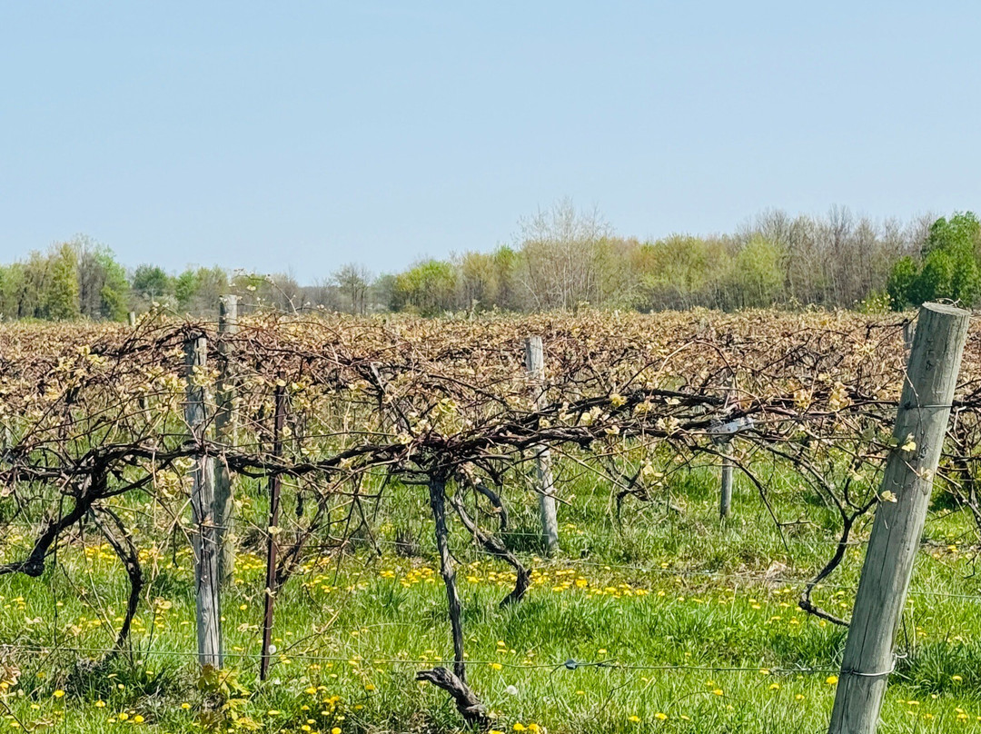 Emerita Winery