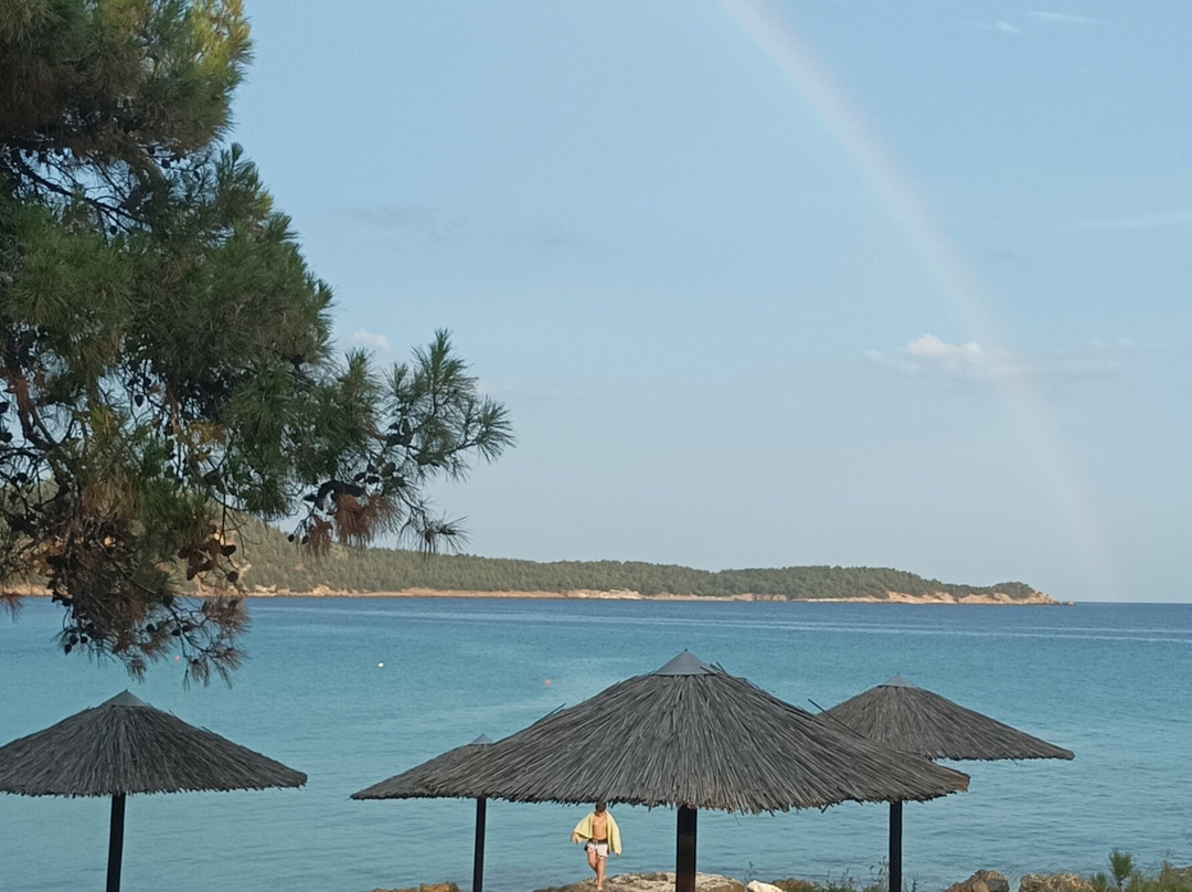 Blue Velvet Beach Bar