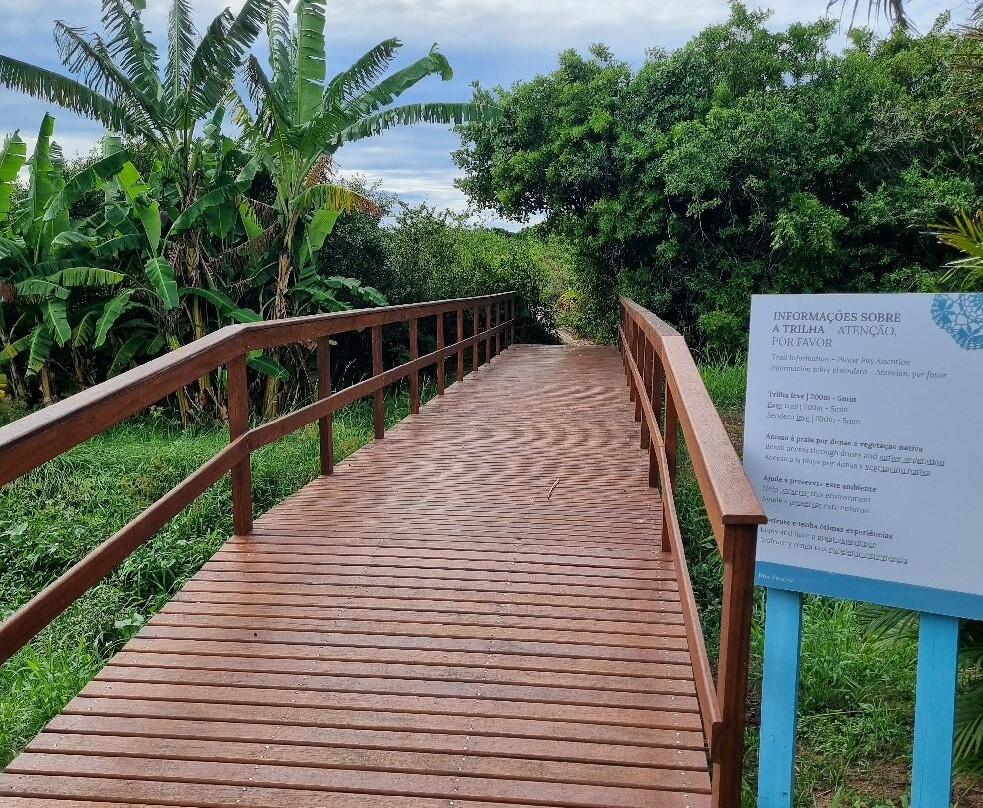 法塞拉岛旅馆主图