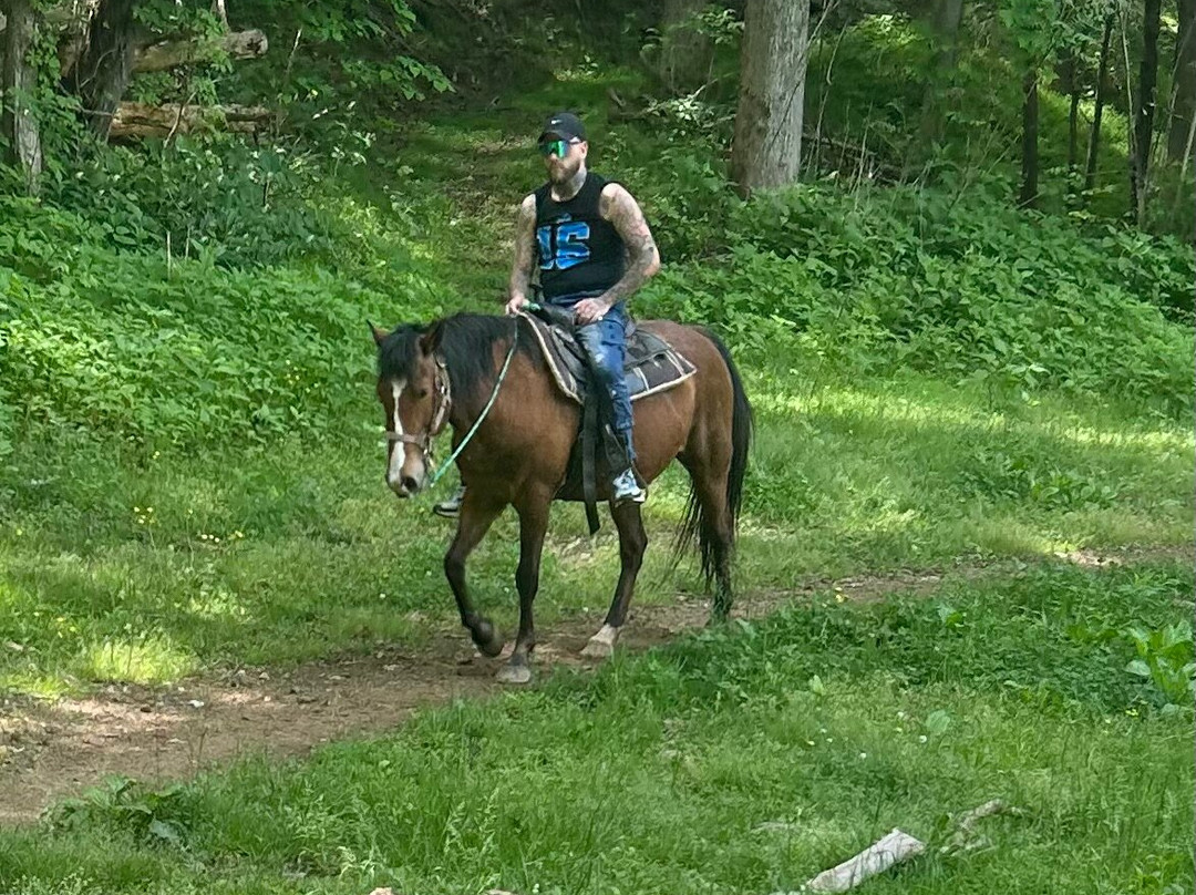 Davy Crockett Riding Stables-汤森必去景点