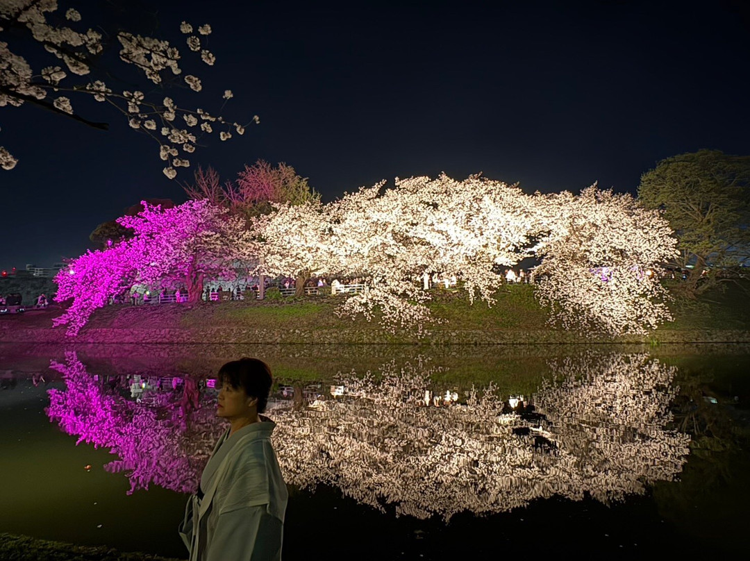 Fukuoka Castle Cherry Blossom Matsuri-Chuo必去景点
