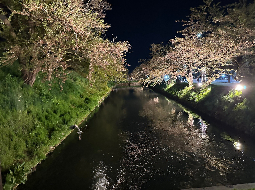 Hirosaki Cherry Blossom Festival-弘前市必去景点