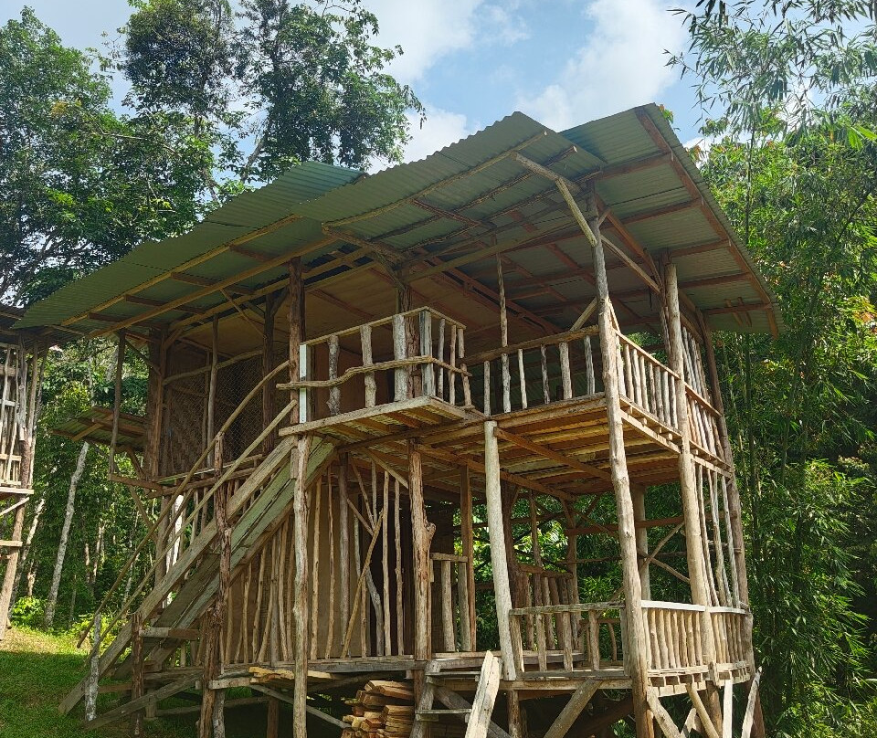 Bukit Lawang - Jungle Trekking Sumatra-武吉拉旺必去景点