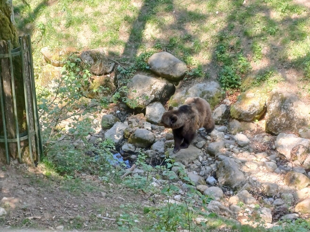 BELPARK- Parco Faunistico di Spormaggiore-Spormaggiore必去景点