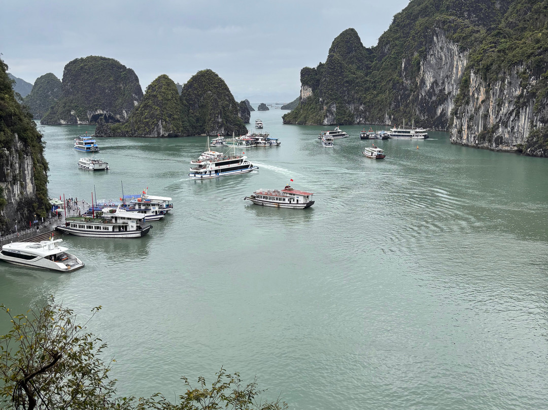 Amethyst Day Cruise-下龙湾必去景点