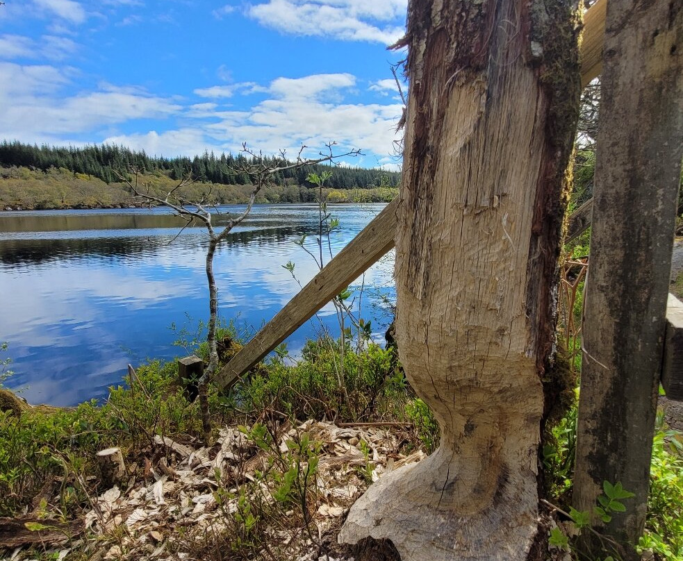 Argyll Beaver Centre-Lochgilphead必去景点