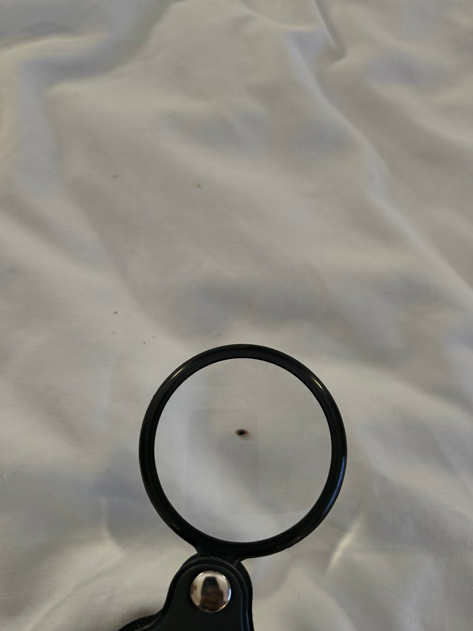 辛普森维尔-格林维尔东南洲际智选假日套房酒店-旅行者