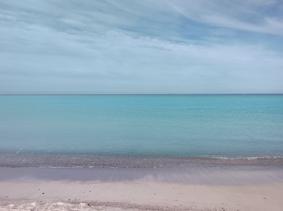 Spiagge Bianche-滨海罗西尼亚诺必去景点