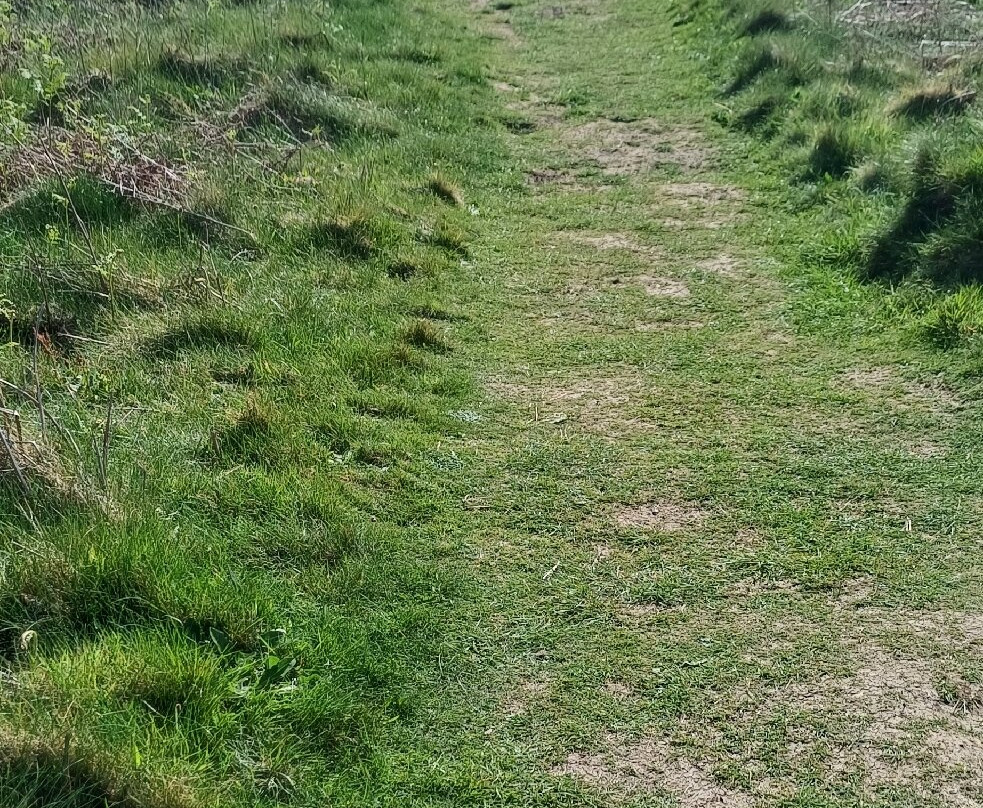 Ceredigion Coast Path-阿伯里斯特威斯必去景点