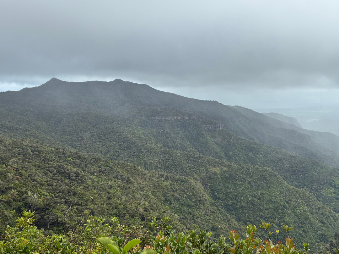 Paradisio Excursions Ile Maurice-大湾必去景点
