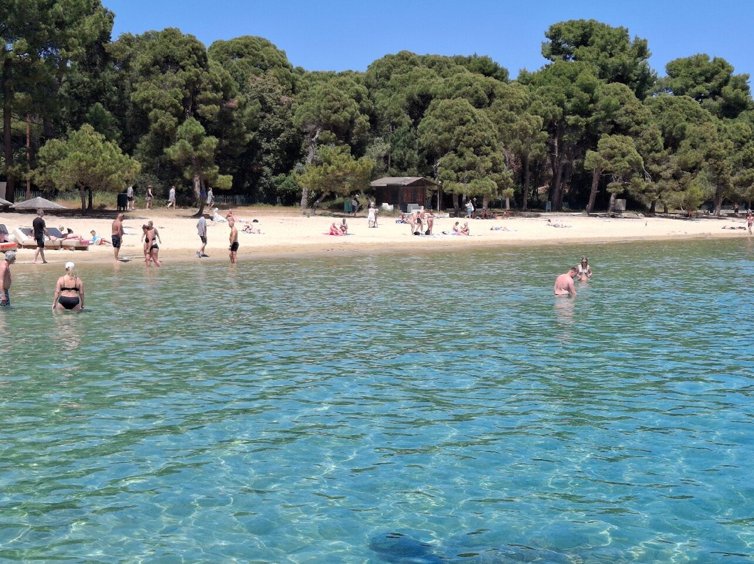 Koukounaries Beach-Koukounaries必去景点