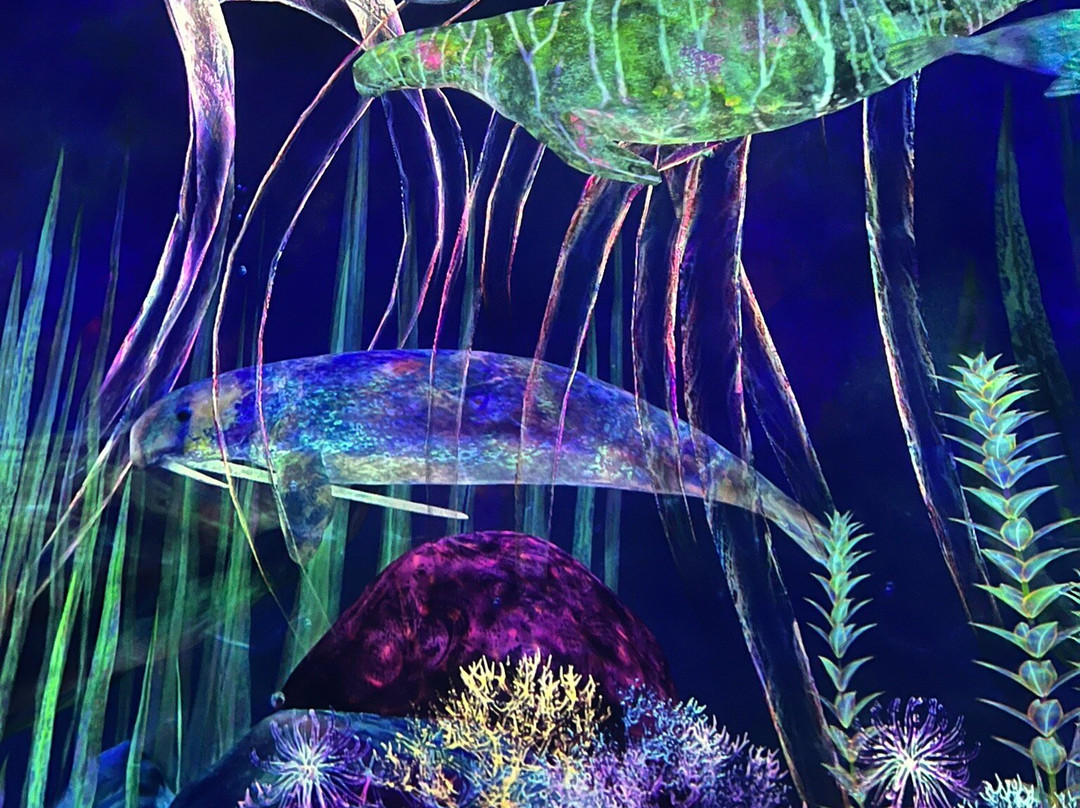 teamLab Planets TOKYO-Toyosu必去景点